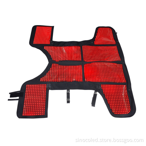 Red Light Therapy Blanket for Equine and Canine Veterinary Care
